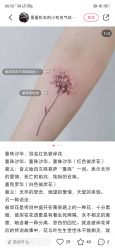 植物-天道专业洗纹身