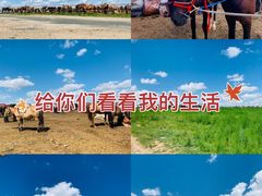 -希拉穆仁草原