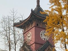 -四川大学(华西校区)