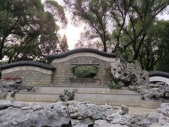 -团结湖公园
