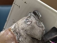 -聚家渔村·寻味顺德(大良店)