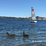 罗托鲁阿市坐落在火山多发区