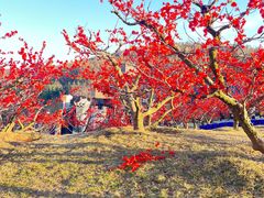 -威海华夏城景区