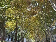 -山东师范大学(千佛山校区)