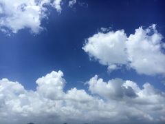 -齐汇维景大酒店游泳馆(山东政协大厦齐汇维景)