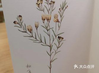 该花集是由绿地冰纷城的李老师所绘,朵朵花卉可谓是惟妙
