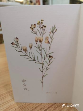 该花集是由绿地冰纷城的李老师所绘，朵朵花卉可谓是惟妙