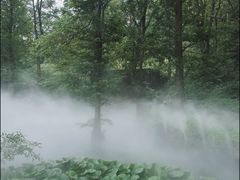 -嵖岈山风景区
