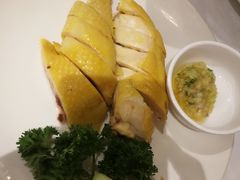白切穗香鸡-稻香海鲜饭店(第一国际店)