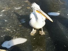 -济南野生动物世界