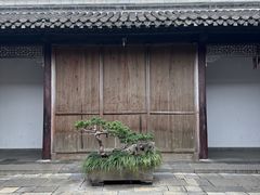 -个园