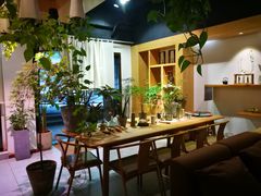 -柴务处·柴犬主题狗咖