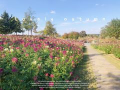 -上海辰山植物园
