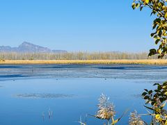 -野鸭湖国家湿地公园