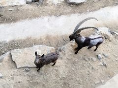 -石家庄市动物园