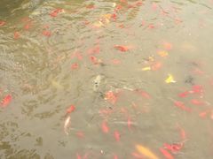 -兰陵国家农业公园