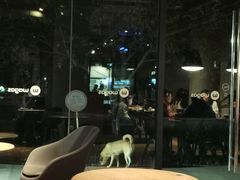 -Wagas沃歌斯(大学路店)