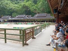 -野象谷景区