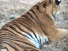 -昆明动物园
