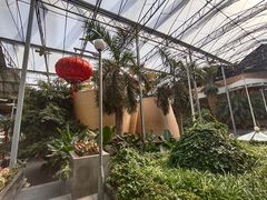 -北国之春国宴(乌兰察布店)