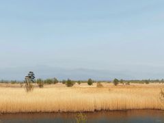 -野鸭湖国家湿地公园