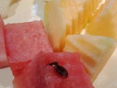 -比格比萨自助(国展店)