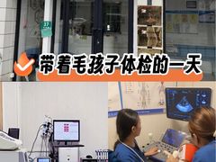 -守诺宠物医院·眼科· 神经外科·爬宠专科(虹口店)