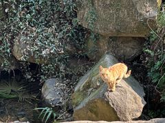 -中国茶叶博物馆(双峰馆区)
