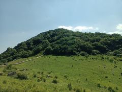 -白草畔自然风景区