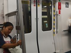 -竹子林(地铁站)