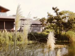 -木守西溪溪隐餐厅