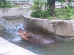 -西安秦岭野生动物园