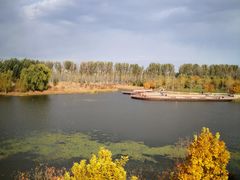 -东郊湿地公园