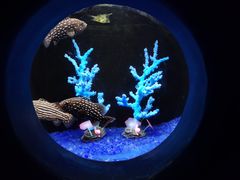 -欢乐海岸海洋奇梦馆