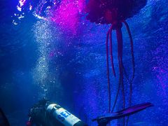 -沈阳海洋探索中心