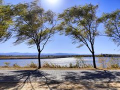 -野鸭湖国家湿地公园