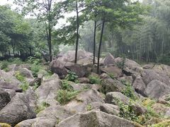 -山沟沟景区