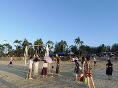 -汕尾风车岛