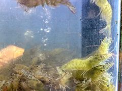 景观位-徐记海鲜(汉城湖|太奥店)
