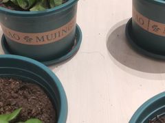 -黄金粥港式·早晚茶(海阳路店)
