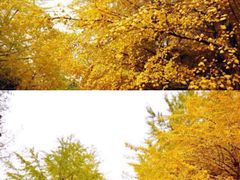 -辽宁大学(崇山校区)