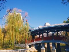 -迎泽公园