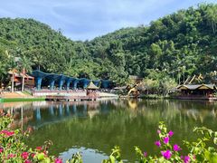 -西双版纳原始森林公园