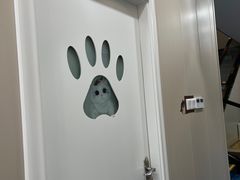 -创凡宠物医院·骨专科  猫科中心(西乡分院)