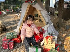 -HERRE·FARM 赫尔露营农场·团建聚会包场