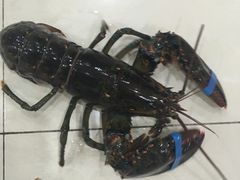 -南海渔家•海鲜•正宗海南菜(海棠湾店)