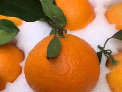 -上海龙吴水胜海发市场