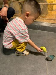 -酷嗒动物文化乐园(cutezoo西溪乐天城店)