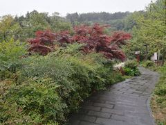 -天河潭旅游度假区