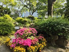 -上海醉白池公园